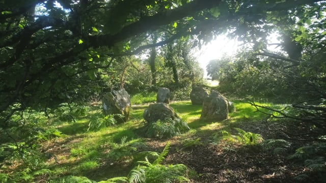 Whispers of the Seven Sisters: Unearthing a Divine Family in the Kerry Mountains